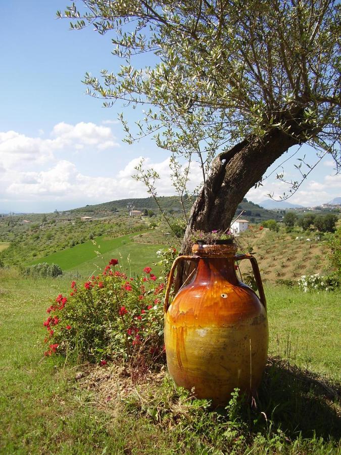 Villa Abruzzocasacampagna Collecorvino - Monolocale Con Mini-Cucina, Giardino E Parcheggio Extérieur photo